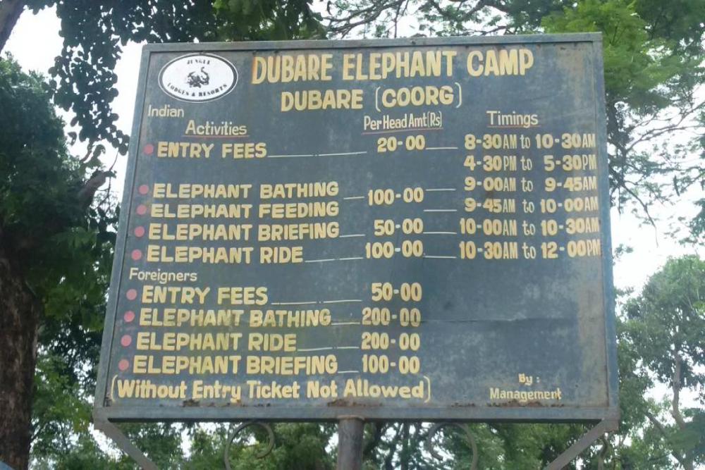 Dubare Elephant Camp (12).jpg